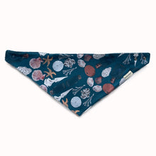 Load image into Gallery viewer, The Bandana Bib (set of 2) - Cabinet Print Teal / White