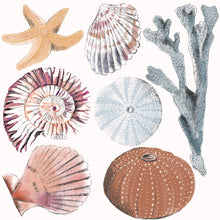 Load image into Gallery viewer, Under the Sea Decal Set of 7