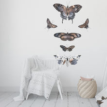 Load image into Gallery viewer, Moth Decal Set of 6