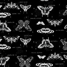 Load image into Gallery viewer, Blackboard Wallpaper - Black