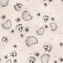 Load image into Gallery viewer, Ammonite Wallpaper