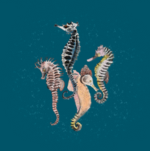 Load image into Gallery viewer, The Jersey Blanket - Seahorse Print
