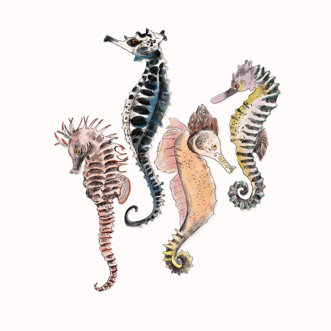 Seahorses Decal Set of 4